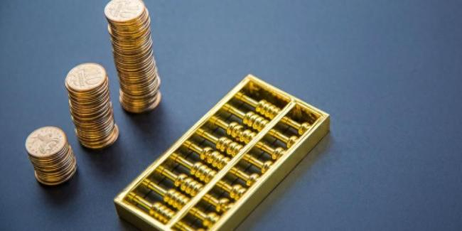财政资金带动社会资金参与找矿